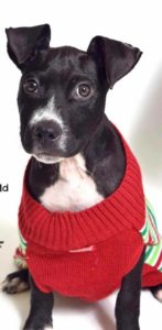 49B00F84-B859-40AB-BF07-4753DF6F738F